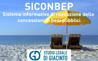 Decreto-SICONBEP-sistema-informativo-di-rilevazione-delle-concessioni-di-beni-pubblici-immagini